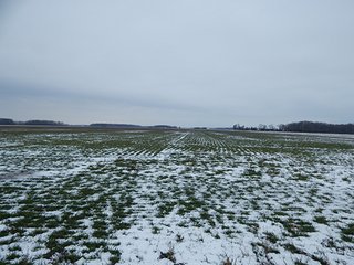Property photo 65 - LAND AUCTION - 459+/- ACRES OFFERED IN 12 TRACTS IN DEFIANCE COUNTY, OHIO