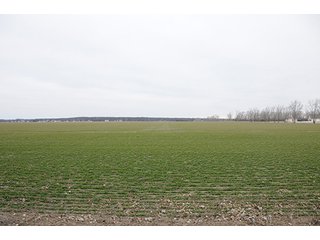 Property photo 1 - LAND AUCTION - 459+/- ACRES OFFERED IN 12 TRACTS IN DEFIANCE COUNTY, OHIO