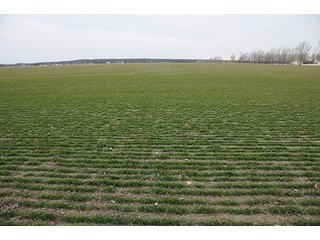 Property photo 2 - LAND AUCTION - 459+/- ACRES OFFERED IN 12 TRACTS IN DEFIANCE COUNTY, OHIO