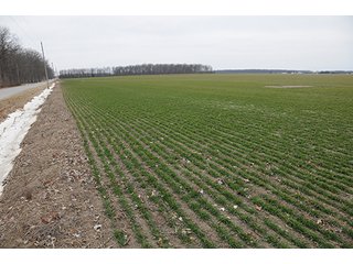 Property photo 3 - LAND AUCTION - 459+/- ACRES OFFERED IN 12 TRACTS IN DEFIANCE COUNTY, OHIO