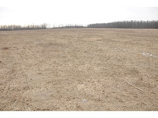 Property photo 8 - LAND AUCTION - 459+/- ACRES OFFERED IN 12 TRACTS IN DEFIANCE COUNTY, OHIO