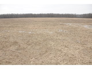 Property photo 9 - LAND AUCTION - 459+/- ACRES OFFERED IN 12 TRACTS IN DEFIANCE COUNTY, OHIO