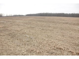 Property photo 10 - LAND AUCTION - 459+/- ACRES OFFERED IN 12 TRACTS IN DEFIANCE COUNTY, OHIO