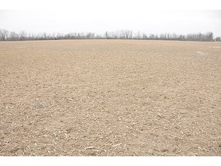 Property photo 11 - LAND AUCTION - 459+/- ACRES OFFERED IN 12 TRACTS IN DEFIANCE COUNTY, OHIO