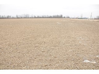 Property photo 12 - LAND AUCTION - 459+/- ACRES OFFERED IN 12 TRACTS IN DEFIANCE COUNTY, OHIO