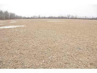 Property photo 13 - LAND AUCTION - 459+/- ACRES OFFERED IN 12 TRACTS IN DEFIANCE COUNTY, OHIO