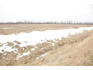 Property photo 16 - LAND AUCTION - 459+/- ACRES OFFERED IN 12 TRACTS IN DEFIANCE COUNTY, OHIO