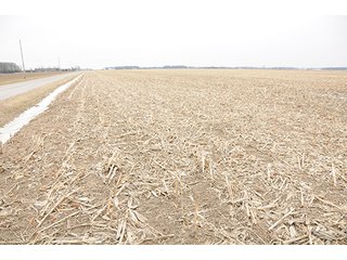 Property photo 17 - LAND AUCTION - 459+/- ACRES OFFERED IN 12 TRACTS IN DEFIANCE COUNTY, OHIO