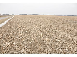 Property photo 18 - LAND AUCTION - 459+/- ACRES OFFERED IN 12 TRACTS IN DEFIANCE COUNTY, OHIO