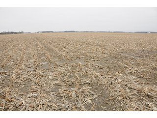 Property photo 19 - LAND AUCTION - 459+/- ACRES OFFERED IN 12 TRACTS IN DEFIANCE COUNTY, OHIO