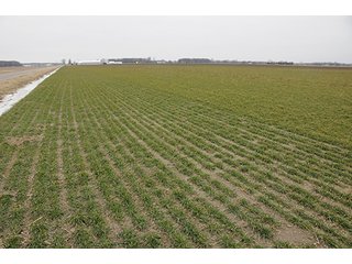 Property photo 21 - LAND AUCTION - 459+/- ACRES OFFERED IN 12 TRACTS IN DEFIANCE COUNTY, OHIO