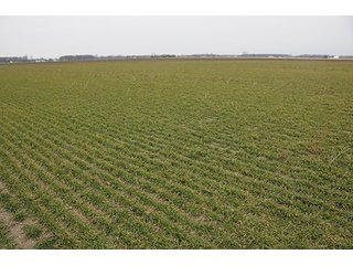 Property photo 22 - LAND AUCTION - 459+/- ACRES OFFERED IN 12 TRACTS IN DEFIANCE COUNTY, OHIO