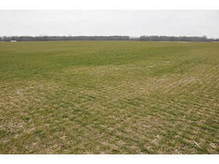 Property photo 25 - LAND AUCTION - 459+/- ACRES OFFERED IN 12 TRACTS IN DEFIANCE COUNTY, OHIO