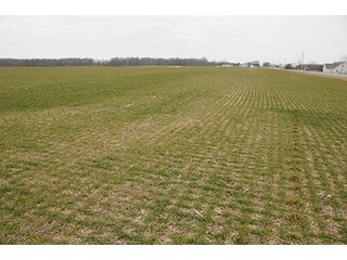 Property photo 26 - LAND AUCTION - 459+/- ACRES OFFERED IN 12 TRACTS IN DEFIANCE COUNTY, OHIO