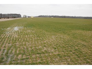 Property photo 27 - LAND AUCTION - 459+/- ACRES OFFERED IN 12 TRACTS IN DEFIANCE COUNTY, OHIO