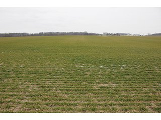 Property photo 28 - LAND AUCTION - 459+/- ACRES OFFERED IN 12 TRACTS IN DEFIANCE COUNTY, OHIO