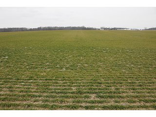 Property photo 29 - LAND AUCTION - 459+/- ACRES OFFERED IN 12 TRACTS IN DEFIANCE COUNTY, OHIO