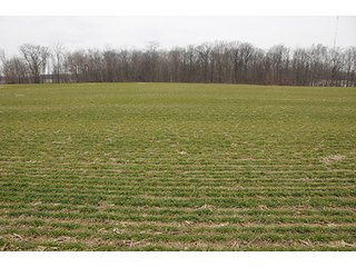 Property photo 31 - LAND AUCTION - 459+/- ACRES OFFERED IN 12 TRACTS IN DEFIANCE COUNTY, OHIO