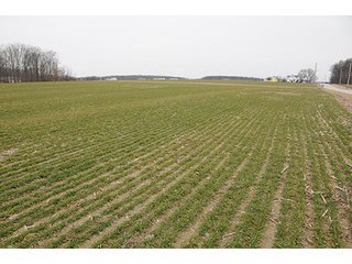Property photo 32 - LAND AUCTION - 459+/- ACRES OFFERED IN 12 TRACTS IN DEFIANCE COUNTY, OHIO