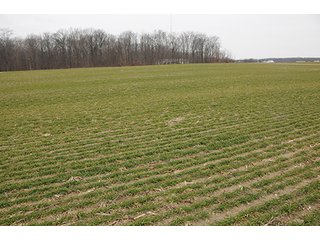 Property photo 33 - LAND AUCTION - 459+/- ACRES OFFERED IN 12 TRACTS IN DEFIANCE COUNTY, OHIO