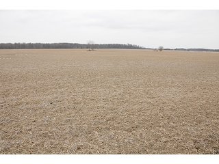 Property photo 35 - LAND AUCTION - 459+/- ACRES OFFERED IN 12 TRACTS IN DEFIANCE COUNTY, OHIO