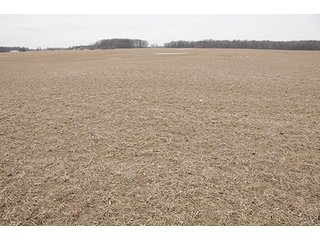 Property photo 36 - LAND AUCTION - 459+/- ACRES OFFERED IN 12 TRACTS IN DEFIANCE COUNTY, OHIO