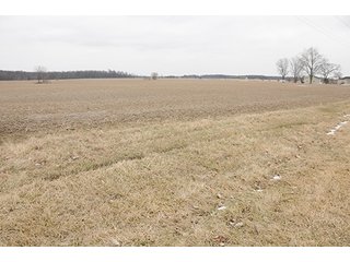 Property photo 38 - LAND AUCTION - 459+/- ACRES OFFERED IN 12 TRACTS IN DEFIANCE COUNTY, OHIO