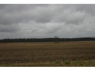 Property photo 111 - LAND AUCTION - 459+/- ACRES OFFERED IN 12 TRACTS IN DEFIANCE COUNTY, OHIO