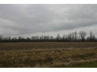 Property photo 123 - LAND AUCTION - 459+/- ACRES OFFERED IN 12 TRACTS IN DEFIANCE COUNTY, OHIO