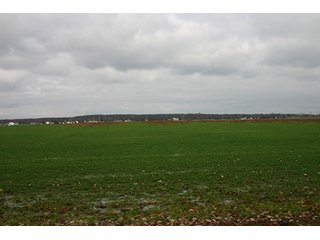 Property photo 125 - LAND AUCTION - 459+/- ACRES OFFERED IN 12 TRACTS IN DEFIANCE COUNTY, OHIO