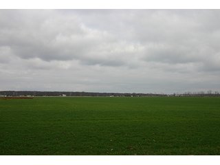 Property photo 126 - LAND AUCTION - 459+/- ACRES OFFERED IN 12 TRACTS IN DEFIANCE COUNTY, OHIO