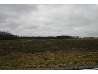 Property photo 127 - LAND AUCTION - 459+/- ACRES OFFERED IN 12 TRACTS IN DEFIANCE COUNTY, OHIO
