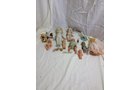 BOX 12 - PERSONAL PROPERTY AUCTION IN WHITLEY COUNTY, INDIANA