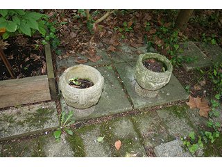 Property photo 434 - PERSONAL PROPERTY AUCTION IN WHITLEY COUNTY, INDIANA