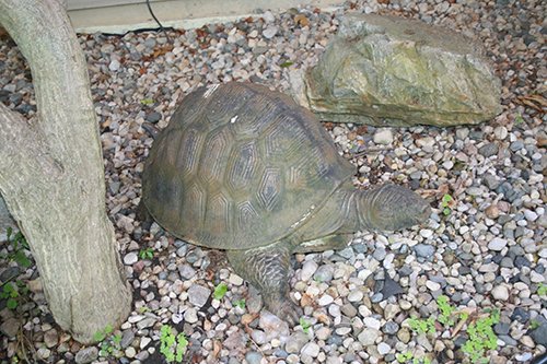 Property photo 421 - PERSONAL PROPERTY AUCTION IN WHITLEY COUNTY, INDIANA