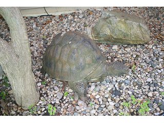 Property photo 421 - PERSONAL PROPERTY AUCTION IN WHITLEY COUNTY, INDIANA
