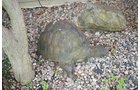 Property photo 421 - PERSONAL PROPERTY AUCTION IN WHITLEY COUNTY, INDIANA