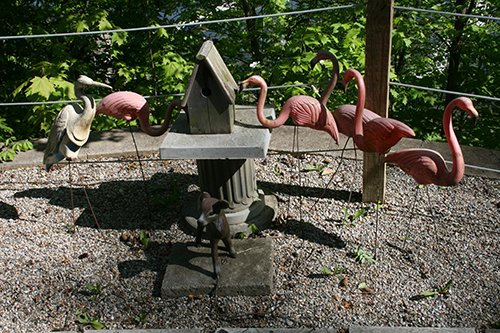 Property photo 422 - PERSONAL PROPERTY AUCTION IN WHITLEY COUNTY, INDIANA