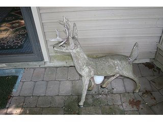 Property photo 435 - PERSONAL PROPERTY AUCTION IN WHITLEY COUNTY, INDIANA