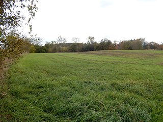 Property photo 11 - REAL ESTATE AUCTION - 25.91+/- ACRES OFFERED IN 3 TRACTS IN WHITLEY COUNTY, IN