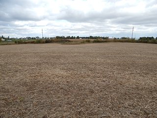 Property photo 10 - REAL ESTATE AUCTION - 25.91+/- ACRES OFFERED IN 3 TRACTS IN WHITLEY COUNTY, IN