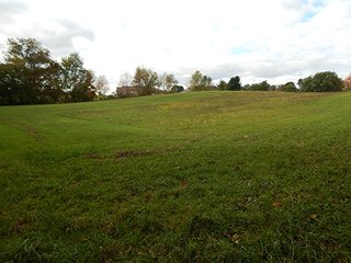 Property photo 6 - REAL ESTATE AUCTION - 25.91+/- ACRES OFFERED IN 3 TRACTS IN WHITLEY COUNTY, IN