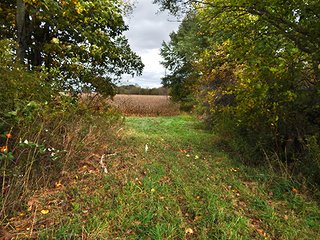 Property photo 5 - REAL ESTATE AUCTION - 25.91+/- ACRES OFFERED IN 3 TRACTS IN WHITLEY COUNTY, IN