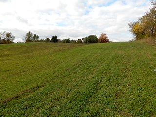 Property photo 4 - REAL ESTATE AUCTION - 25.91+/- ACRES OFFERED IN 3 TRACTS IN WHITLEY COUNTY, IN