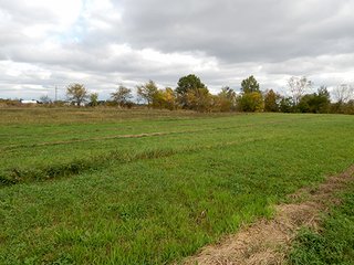 Property photo 2 - REAL ESTATE AUCTION - 25.91+/- ACRES OFFERED IN 3 TRACTS IN WHITLEY COUNTY, IN