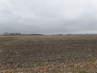 Property photo 22 - LAND AUCTION - 462+/- ACRES OFFERED IN 7 TRACTS IN GRANT COUNTY, IN
