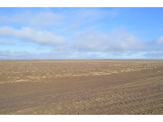 Property photo 13 - LAND AUCTION - 1025+/- ACRES OFFERED IN 4 TRACTS IN GRANT COUNTY, WASHINGTON