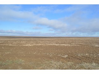 Property photo 14 - LAND AUCTION - 1025+/- ACRES OFFERED IN 4 TRACTS IN GRANT COUNTY, WASHINGTON