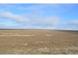 Property photo 4 - LAND AUCTION - 1025+/- ACRES OFFERED IN 4 TRACTS IN GRANT COUNTY, WASHINGTON