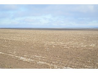 Property photo 16 - LAND AUCTION - 1025+/- ACRES OFFERED IN 4 TRACTS IN GRANT COUNTY, WASHINGTON